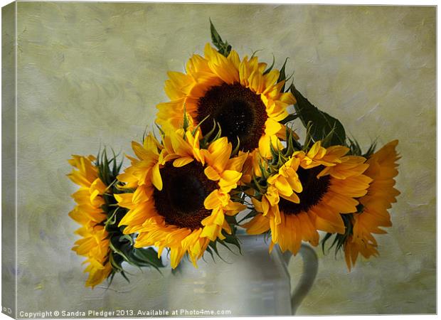 Sunflowers Canvas Print by Sandra Pledger