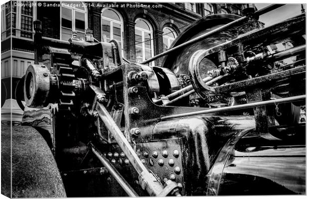  Traction Engine in Mono Canvas Print by Sandra Pledger
