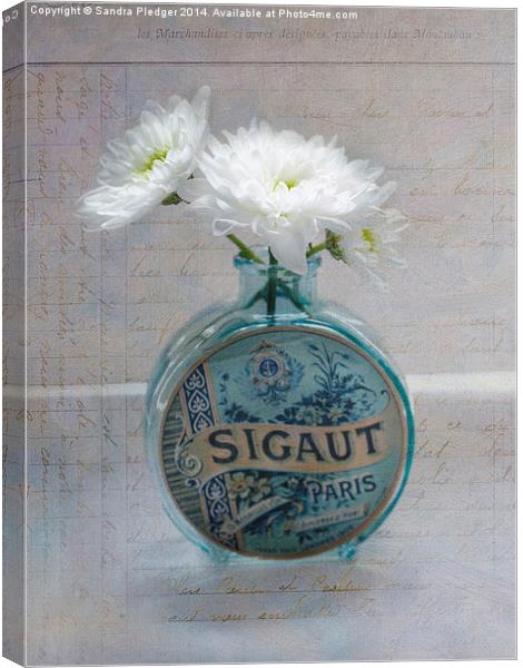  Shabby Chic Crysanthemums Canvas Print by Sandra Pledger