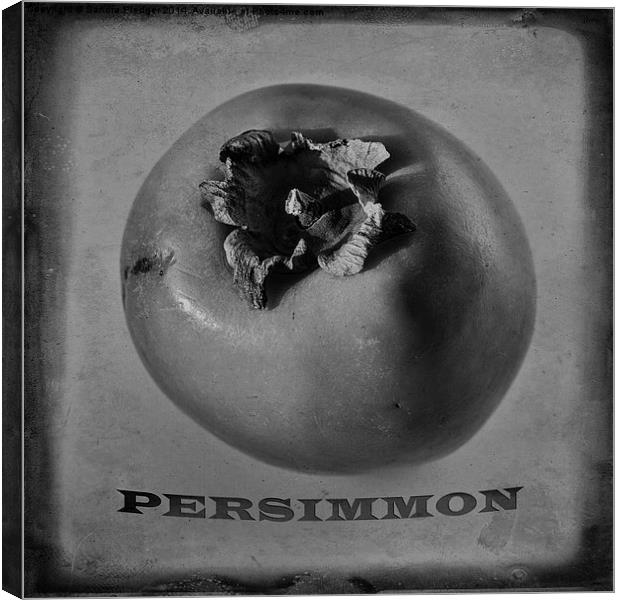  Persimmon Canvas Print by Sandra Pledger