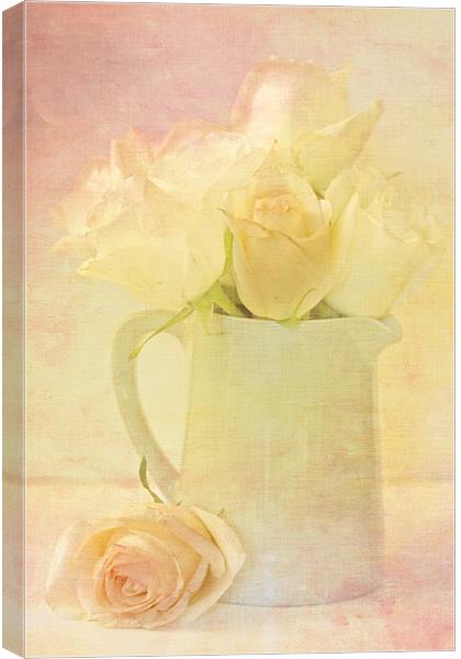 Marshmallow Roses Canvas Print by Sandra Pledger