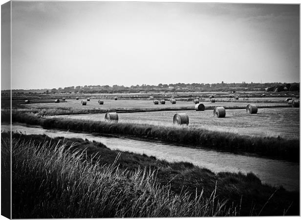 Hay Bales At Orford Ness Canvas Print by justin rafftree