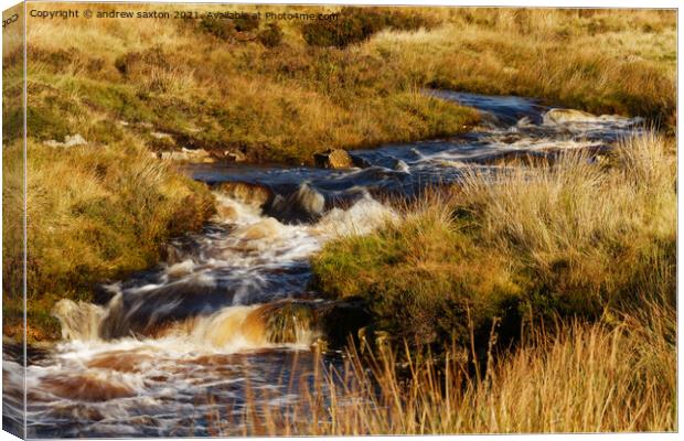 Outdoor water  Canvas Print by andrew saxton