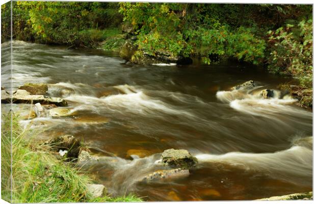 Water ripple Canvas Print by andrew saxton