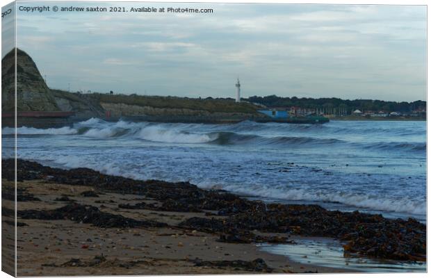 SAND SEA AND SEAWEED Canvas Print by andrew saxton