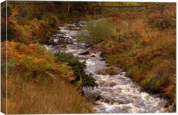 POWER IN WATER Canvas Print by andrew saxton