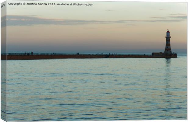 A LONG WALK Canvas Print by andrew saxton