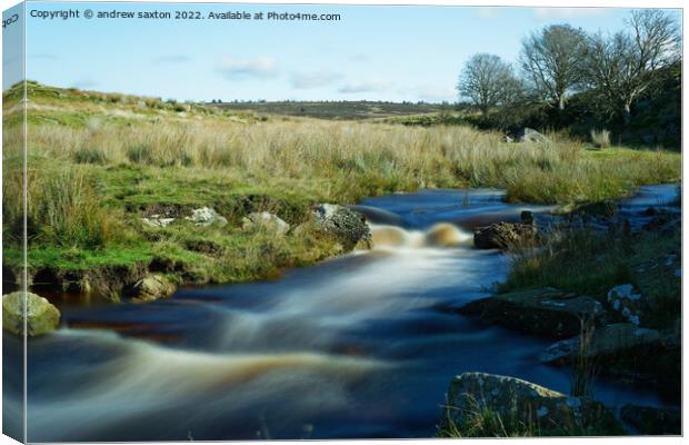 WE GOT WATER Canvas Print by andrew saxton