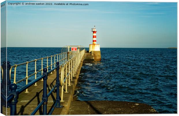 Out at sea Canvas Print by andrew saxton