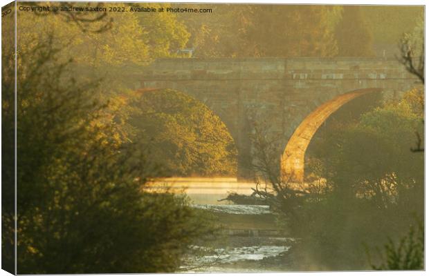 Sun shine bridge Canvas Print by andrew saxton