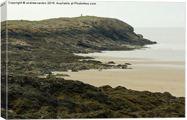  ON THE CLIFF TOP Canvas Print by andrew saxton