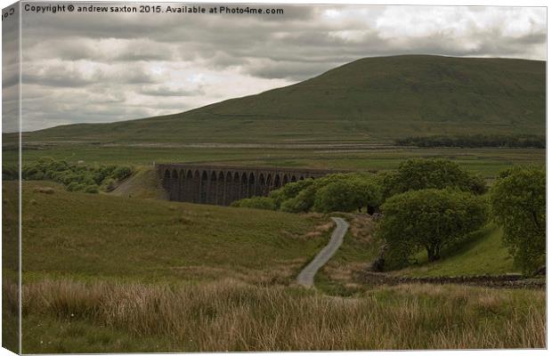  RIBBLEHEAD COUNTRYSIDE Canvas Print by andrew saxton