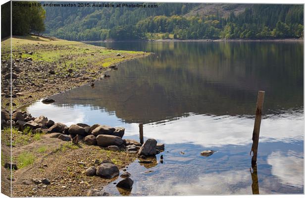  THIRLMERE LAKE Canvas Print by andrew saxton