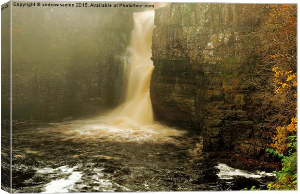  WATER FORCE Canvas Print by andrew saxton