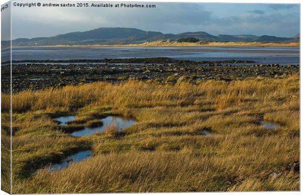  OPEN COASTLINE Canvas Print by andrew saxton