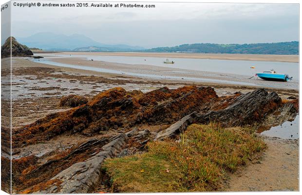 LOW TIDE Canvas Print by andrew saxton