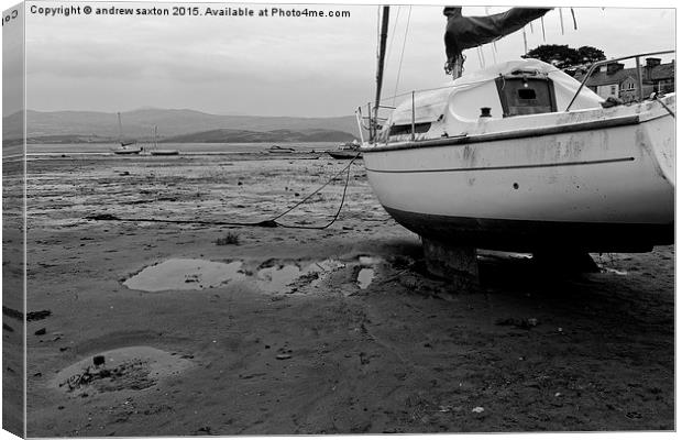  WERE'S THE WATER Canvas Print by andrew saxton