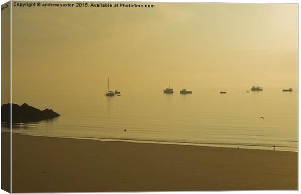  MORNING AS BROKEN Canvas Print by andrew saxton