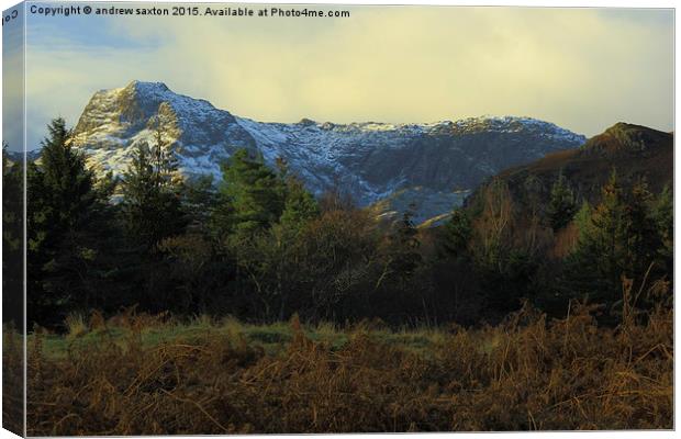  CUMBRIAN MOUNTAINS Canvas Print by andrew saxton