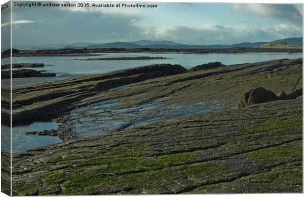 ROCKY SHORE Canvas Print by andrew saxton