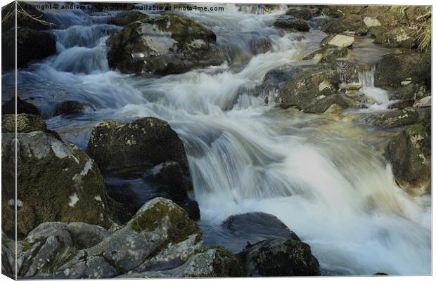  ROCKS AND WATER Canvas Print by andrew saxton