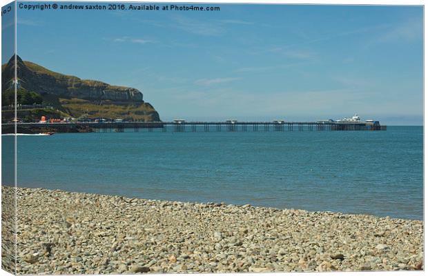  THE SEASIDE Canvas Print by andrew saxton