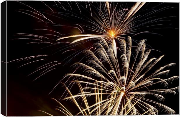 FIREWORK Canvas Print by andrew saxton