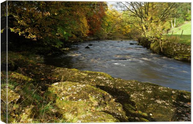 RIVER RIBBLE Canvas Print by andrew saxton