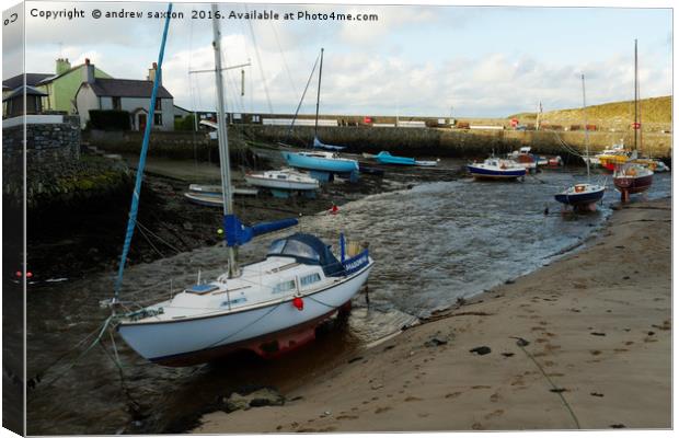 CEMAES HARBOUR Canvas Print by andrew saxton