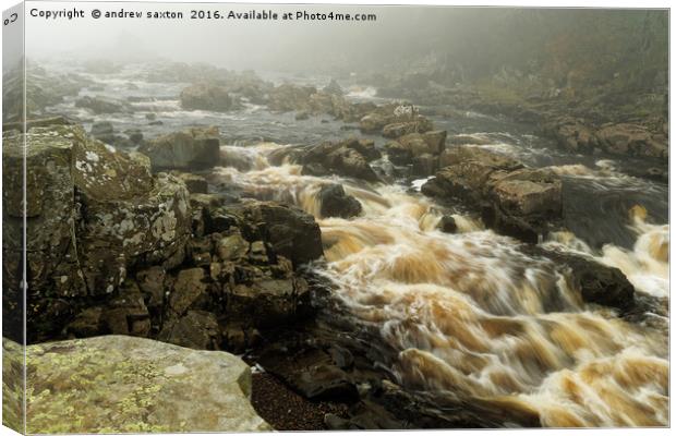 TEESDALE WATERS Canvas Print by andrew saxton