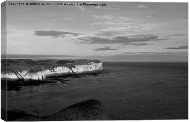 ITS THE COAST Canvas Print by andrew saxton