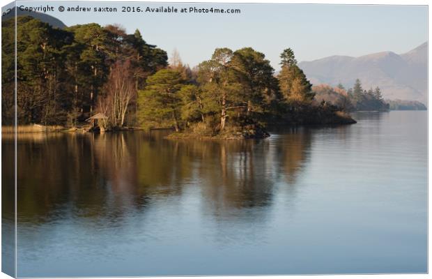 HIDDEN BY THE TREES  Canvas Print by andrew saxton