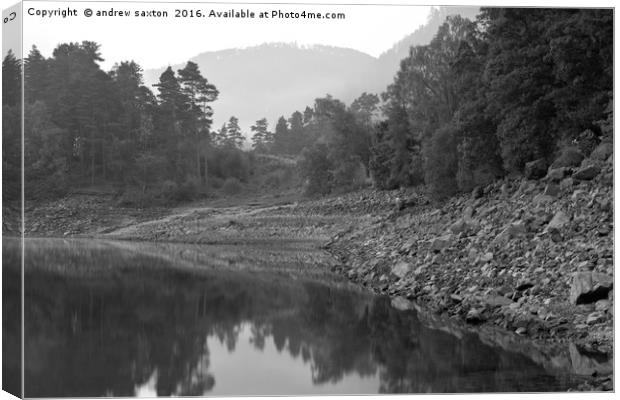 GREY DULL DAY Canvas Print by andrew saxton