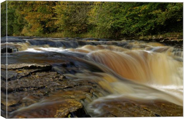 ITS A WATERFALL Canvas Print by andrew saxton