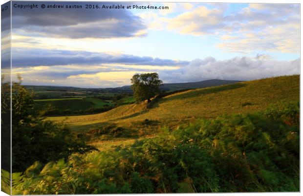 THE LAST RAYS Canvas Print by andrew saxton