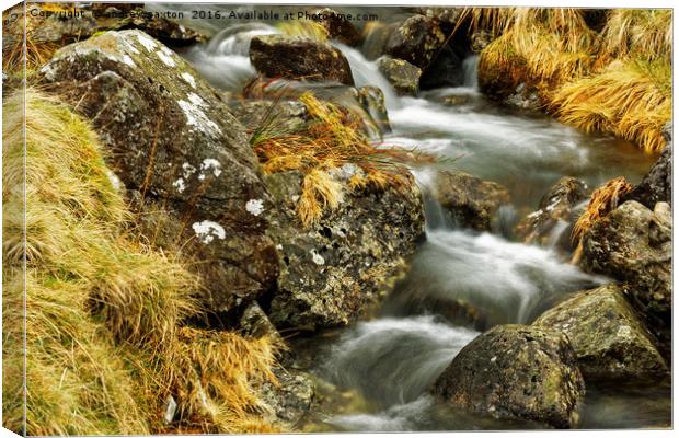 ROCKS WITH WATER Canvas Print by andrew saxton