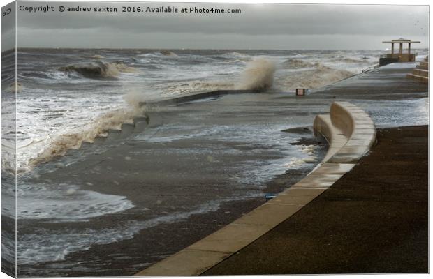 A GREY DAY Canvas Print by andrew saxton