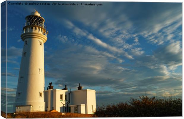 SHINING BRIGHT Canvas Print by andrew saxton