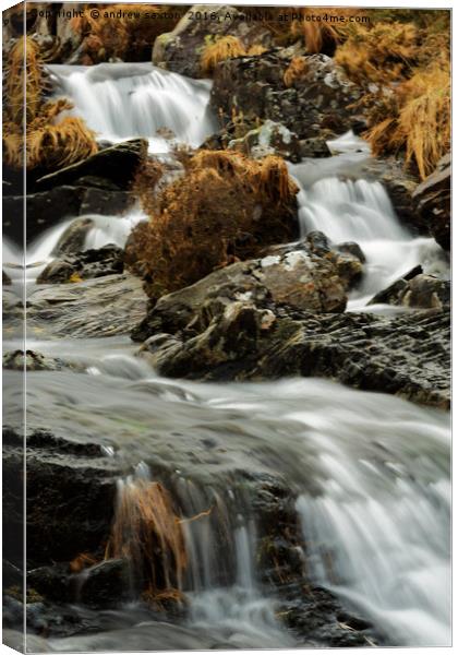 WATER WATER WATER Canvas Print by andrew saxton