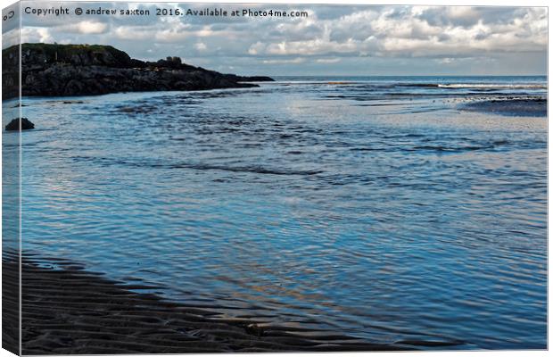 EVENING COAST  Canvas Print by andrew saxton