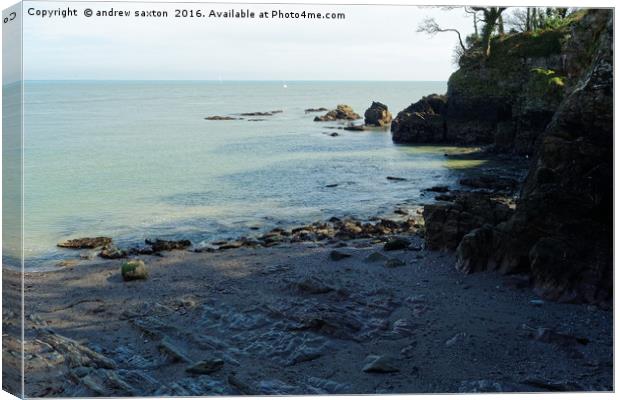 SMALL COVE Canvas Print by andrew saxton