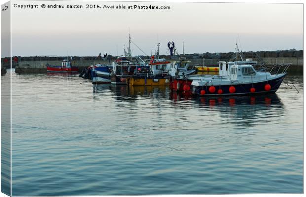 IN WATER Canvas Print by andrew saxton