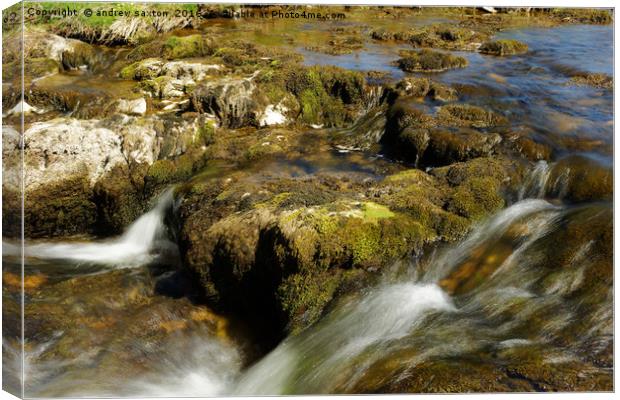 STEADY FLOW Canvas Print by andrew saxton