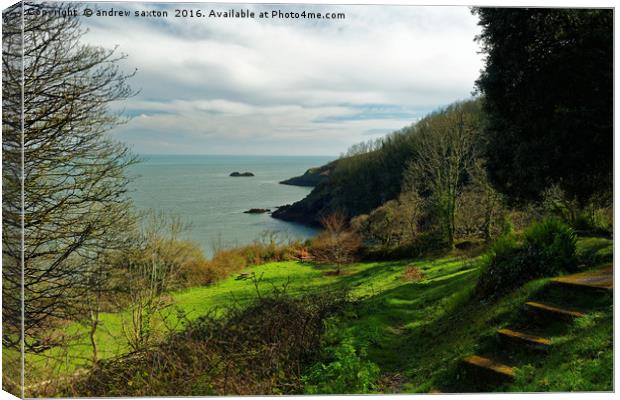 COASTAL PARK Canvas Print by andrew saxton