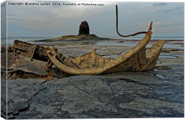 WRECK POINT Canvas Print by andrew saxton