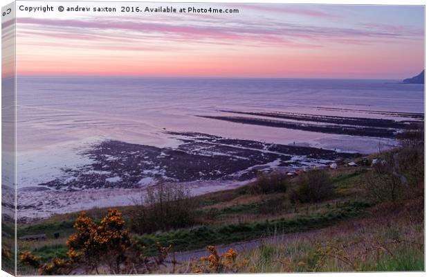 HOODS COASTLINE Canvas Print by andrew saxton