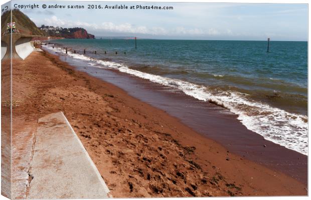 COASTAL SANDS Canvas Print by andrew saxton