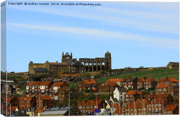 ON THE HILL Canvas Print by andrew saxton