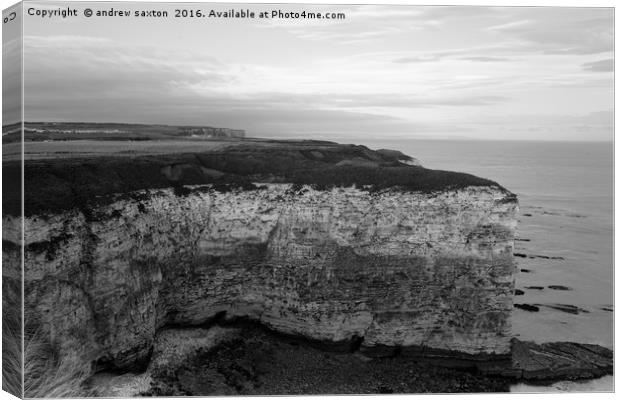 CLIFF TOPS Canvas Print by andrew saxton