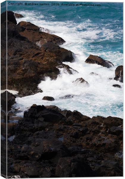 WHITE ON ROCK Canvas Print by andrew saxton
